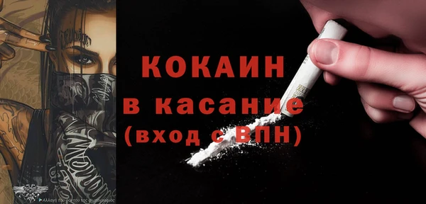 мдпв Рославль
