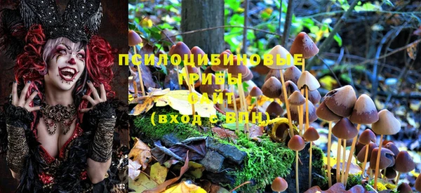 тгк Сафоново