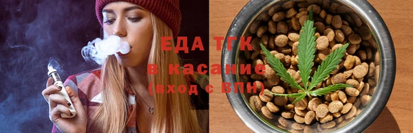 мдпв Рославль