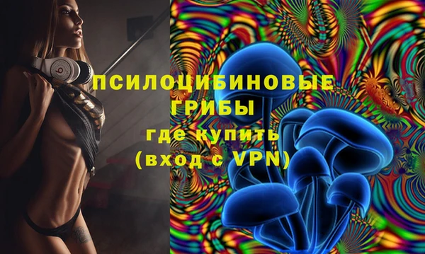 мдпв Рославль