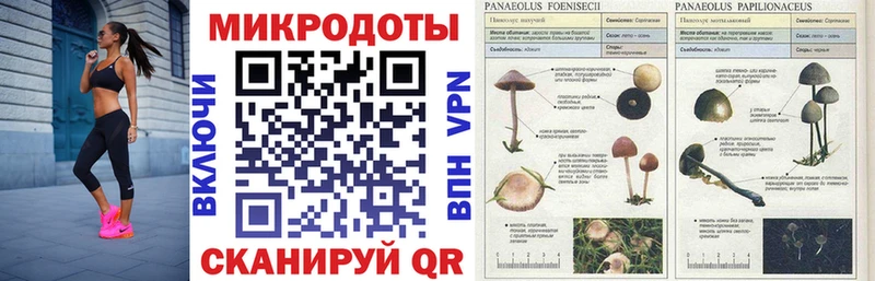 Псилоцибиновые грибы Psilocybine cubensis  маркетплейс телеграм  Алатырь 