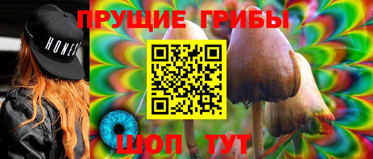 Галлюциногенные грибы Magic Shrooms  Псилоцибиновые грибы ЛСД  Алатырь 