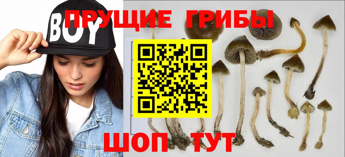 Псилоцибиновые грибы Magic Shrooms Алатырь