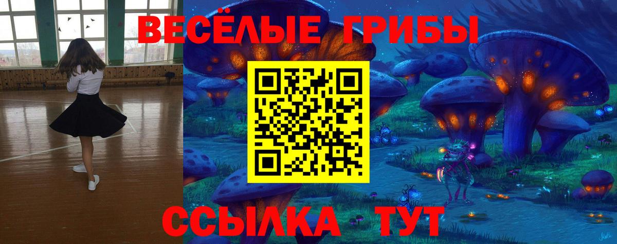 Галлюциногенные грибы MAGIC MUSHROOMS Алатырь