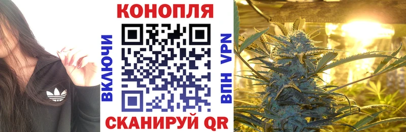 Каннабис Amnesia купить наркоту Алатырь