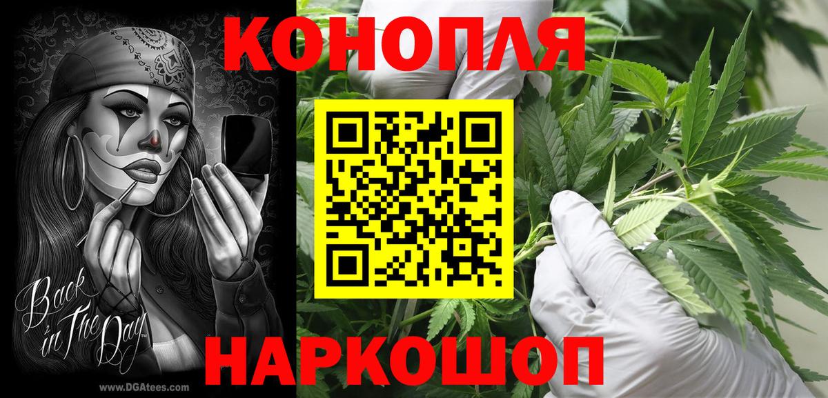 Бошки Шишки VHQ Алатырь